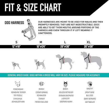 Wolfgang Heavy Duty Adjustable Dog Harness, Pull-Tested to Over 800 lbs for Walking & Training, Daydream Print, Medium
