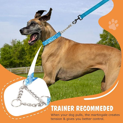 Martingale Dog Collar with Stainless Steel Chain, No Pull Slip Cinch Choker Choke Collar Training Escape Proof Heavy Duty Dog Collar for Medium Large Extra Large Pet Boy Male Dogs, Blue M