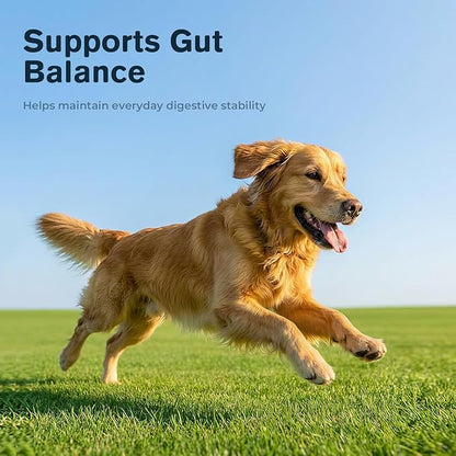 Slippery Elm Bark Powder for Dogs - Organic Herbal Digestive Support for Sensitive Stomachs, Gentle Gut & Throat Comfort, 2 fl oz