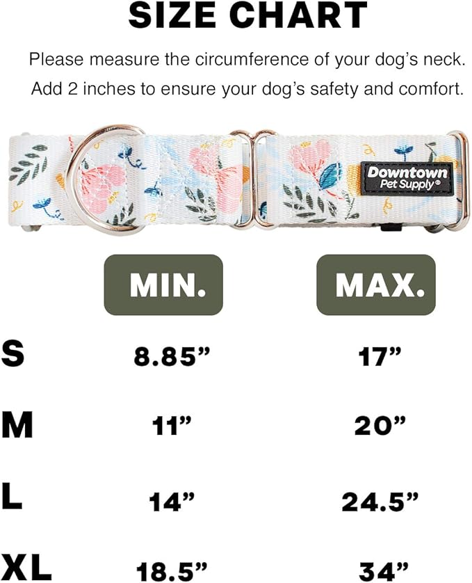 Downtown Pet Supply - Martingale Collar for Dogs - Dog Training Collar - Big, Wide & Thick Dog Collar - Escape-Proof, Weatherproof, Durable and Comfortable - Floral - Medium Dog Collar