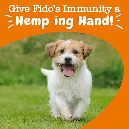 Zesty Paws Hemp Allergy Immune Bites - Dog Allergy Chews, Dog Probiotics for Itchy Skin and Ears, Cheese, 90ct