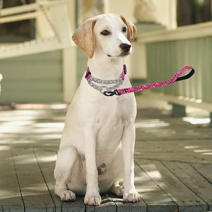 Martingale Dog Collar and Leash Set, Stainless Steel Chain, No Pull Training Collar with Flower Design, for Small, Medium, Large Dogs (NO1, L)