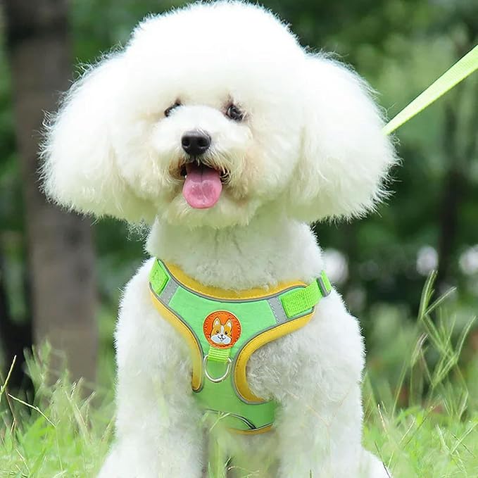 Dog Collar Pet Dog Harness and Leash Set Adjustable Harness Reflective Breathable Small Dog Pet Supplies