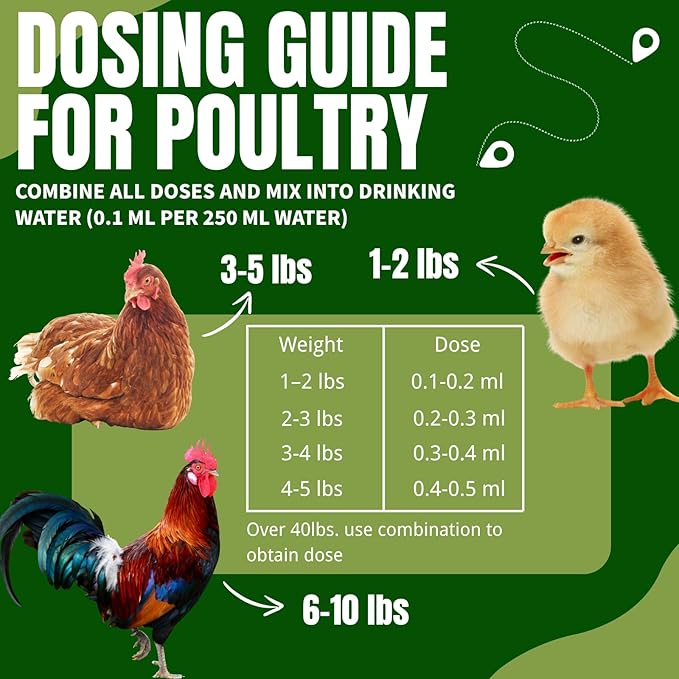 Ivermect Chicken De-Wormer Liquid, Poultry Care for All Ages and Sizes, Natural Formula for Types of Worms, 50mL