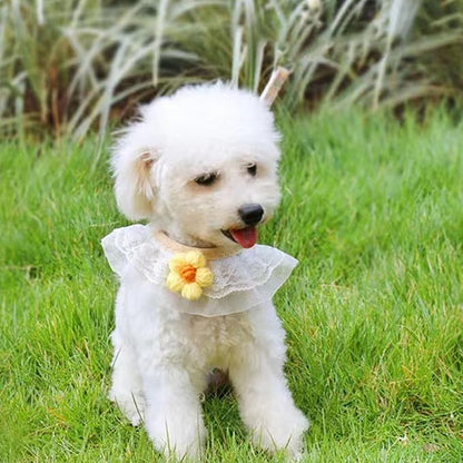 Cat Harness Collar and Leash Set, Sweet Lace Floral Kitten Collar, Escape Proof Puppy Chest Harness, Adjustable Cute Harness Leash Set for Cat Puppy Dog Outdoor Walking (Yellow, M)