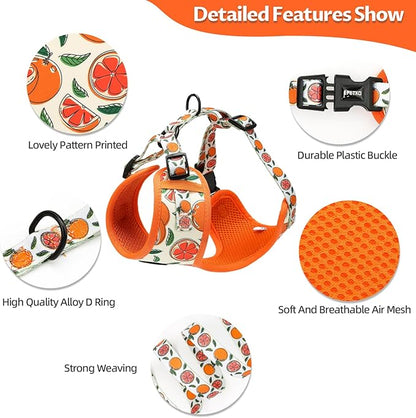 Small Dog Harness and Leash Set of 6, No Pull Soft Lightweight Mesh Puppy Harness， Adjustable Cute Floral Pattern Pet Harness for Small Medium Dogs (Orange, S)