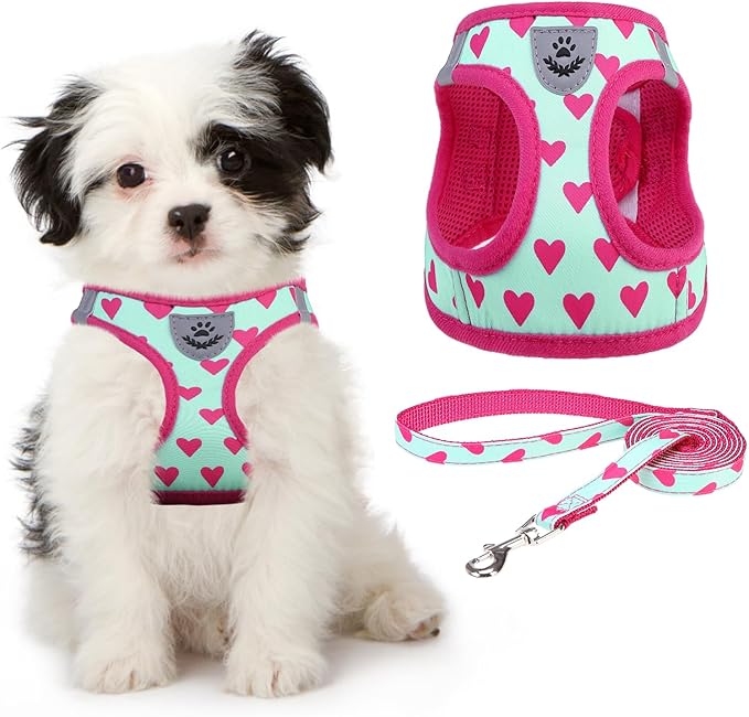 KOOLTAIL Valentines Dog Harness and Leash Set for Small Medium Dogs, Step in No Pull Soft Mesh Dog Harness Padded Pet Vest, Adjustable Reflective Easy Walking Puppy Harnesses Training, Pink Heart S