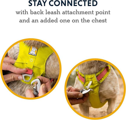 Ruffwear, Hi & Light, Everyday Lightweight Dog Harness, Trail Running, Walking, Hiking, All-Day Wear, Alpenglow Pink, XX-Small