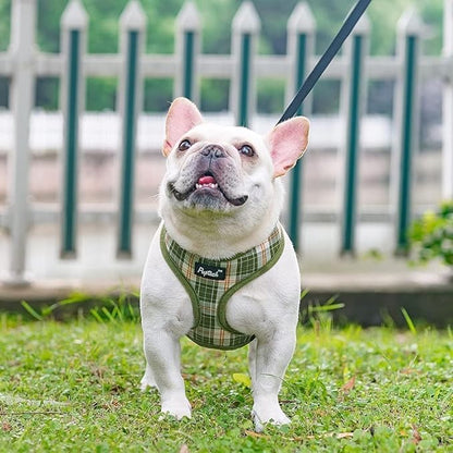 PUPTECK Soft Mesh Dog Harness and Leash Set Pet Puppy Cat Comfort Padded Vest No Pull Harnesses, Olive Green, XS