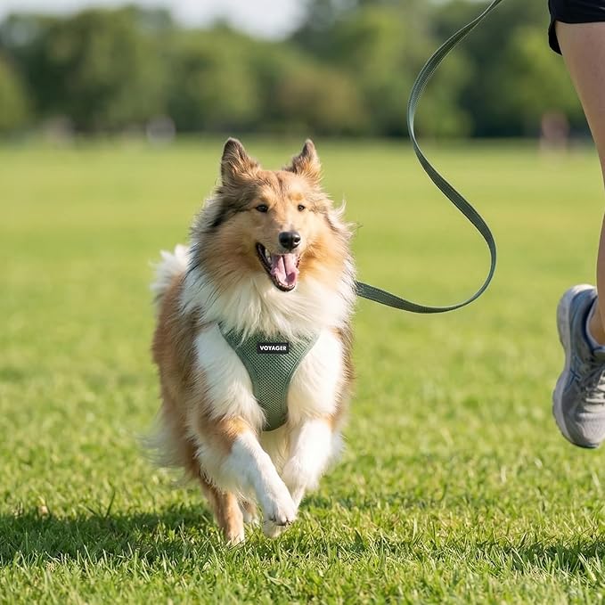 Best Pet Supplies Voyager Step-in Air All Weather Mesh Harness and Reflective Dog 5ft Leash Combo with Neoprene Handle, for Small, Medium and Large Breed Puppies - Set (Moss Green), Medium