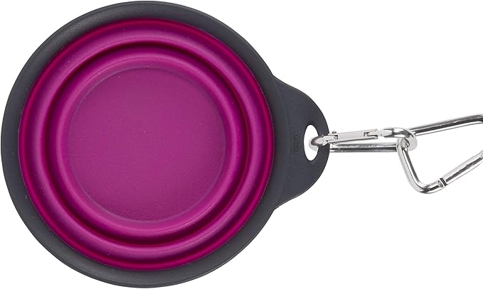 Dexas Pets Collapsible Travel Cup, Large/2 Cup Capacity, Fuchsia