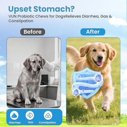Probiotics for Dogs, Digestive Immune System Support Supplements Gut Health, Flora, Pet Dog Probiotic Supplement Soft Chews with Prebiotics for Allergy Upset Stomach, Puppy Probiotics