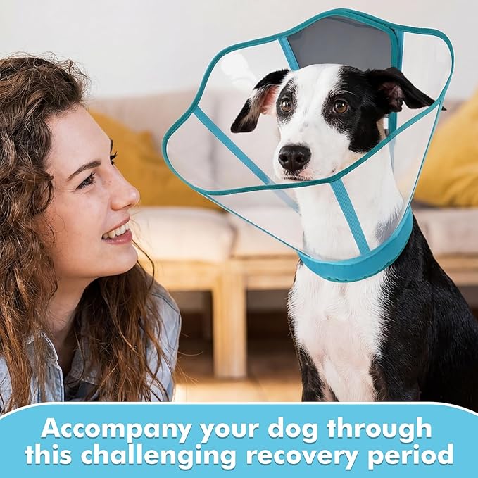 Allroaring Dog Cone, Adjustable Dog Cone Collar, Soft Cones for Large Dogs, Elizabethan Collar for Pet After Surgery, Pet Recovery Collars & Cones to Stop Licking Lightweight E-Collar, Bluegreen XL