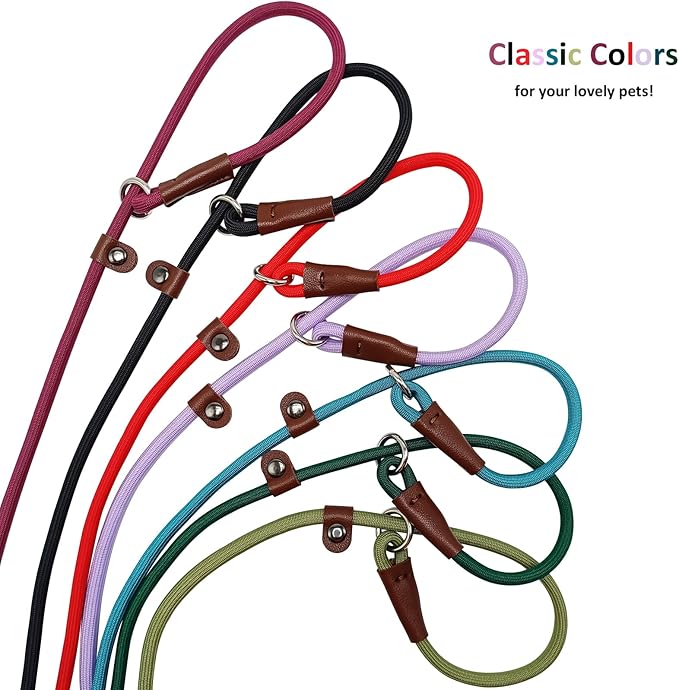 BTINESFUL 7ft Slip Lead Dog Leash, Strong Nylon Rope Leash, 1/4" Dog Training Lead for Small Medium Dogs, 14+ Colors (1/4" * 7 FT, Red)