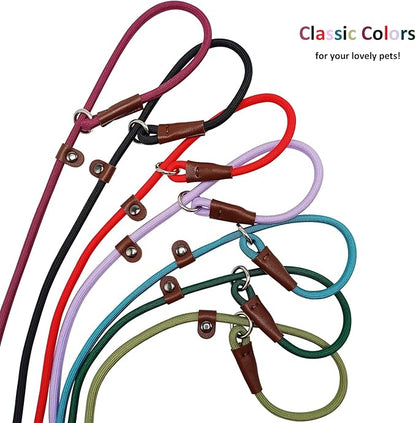 BTINESFUL 7ft Slip Lead Dog Leash, Strong Nylon Rope Leash, 1/4" Dog Training Lead for Small Medium Dogs, 14+ Colors (1/4" * 7 FT, Red)