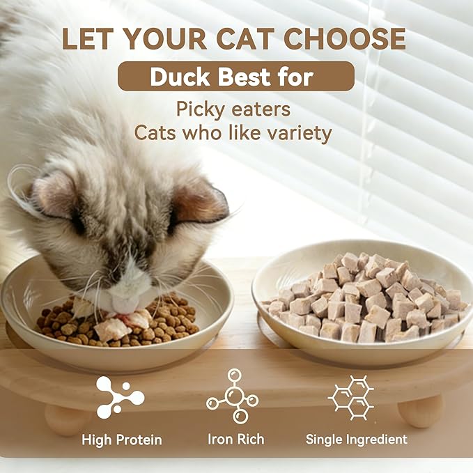 Freeze Dried Cat Treats, Single Ingredient Duck Bites Snacks for Cats & Dogs, Grain-Free High Protein Healthy Training Treats & Food Topper for Cats & Dogs, 4 oz