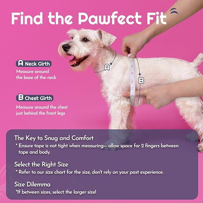 Eagloo Small Dog Harness and Leash Set, Step in Puppy Vest with Breathable Soft Mesh, Walking Reflective Pet Harness for Extra Small Dogs, Pink, XXS