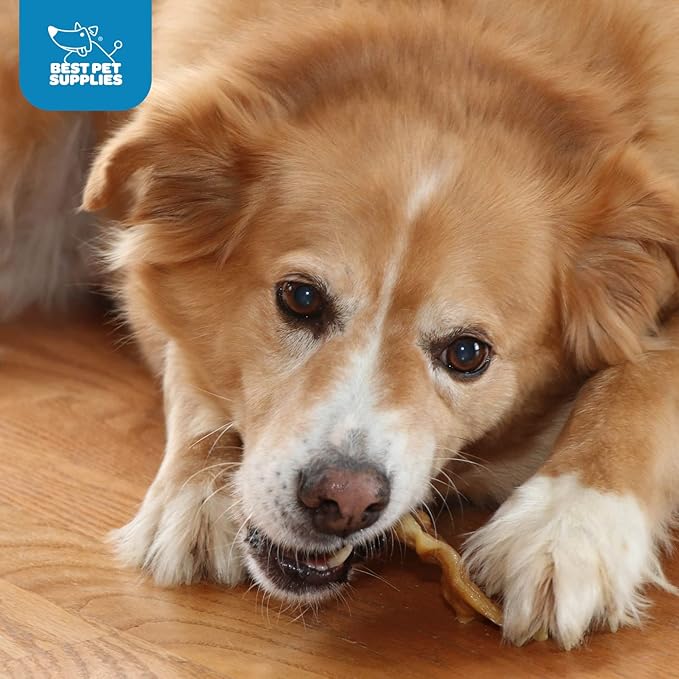 Best Pet Supplies GigaBite Roasted Pig Ears for Dogs - Natural Dog Chews, Roasted Pigs Ears, Safe for Puppies and Aggressive Chewers, Cleans Teeth and Gums - Slivers, 1.8 Pounds