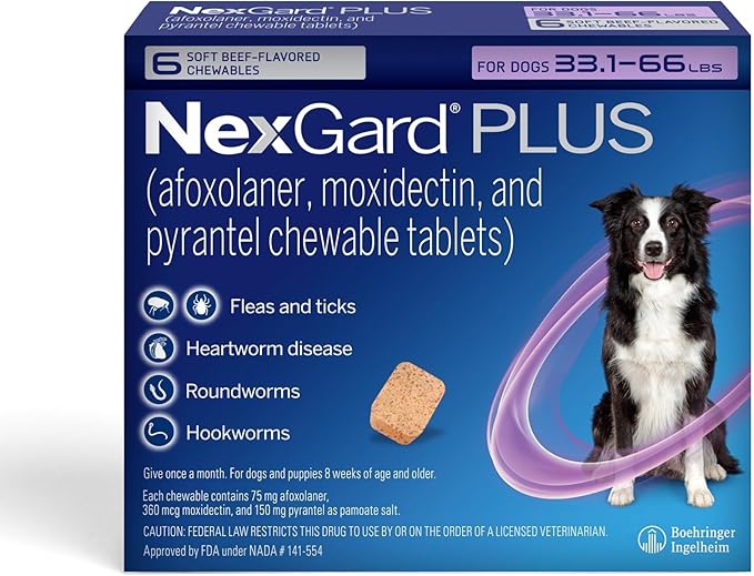 NexGard Plus (afoxolaner, moxidectin, and pyrantel) Flea and Tick Protection & Heartworm Preventive for Dogs Soft Beef Flavored Chewables, 33.1-66 lbs. (Purple) 6 Chews (6 Month Supply)