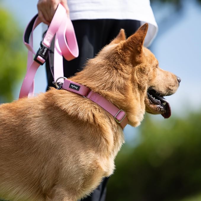 Hyhug Martingale Dog Collar Medium Pink |Escape - Proof Heavy Duty Nylon Durable No Slip, Ideal for Training & Daily Walks