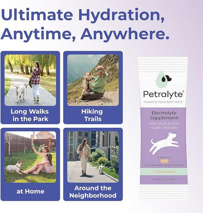 Dog Electrolytes and Joint Supplement | Hydration Support for Dogs w/Glucosamine, Chondroitin & More | Electrolytes for Dogs with Prebiotics | Unflavored | 32 Packets