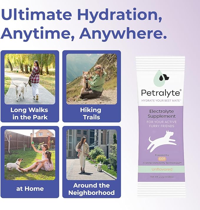 Dog Electrolytes and Joint Supplement | Glucosamine, Chondroitin & MSM for Inflammation and Mobility Support | Electrolytes for Dogs with Prebiotics | Unflavored | 16 Packets