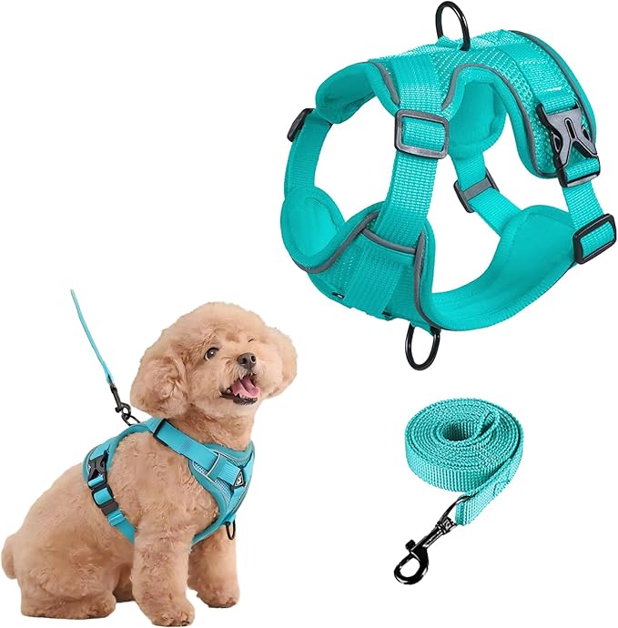 SOLMOONY Small Dog Harness,Soft Mesh Puppy Harness and Leash Set,No Escape Cat Harnesses for Training Walking,Reflective Adjustable Puppy Vest for Small Medium Dogs, Cats (Turquoise, M)