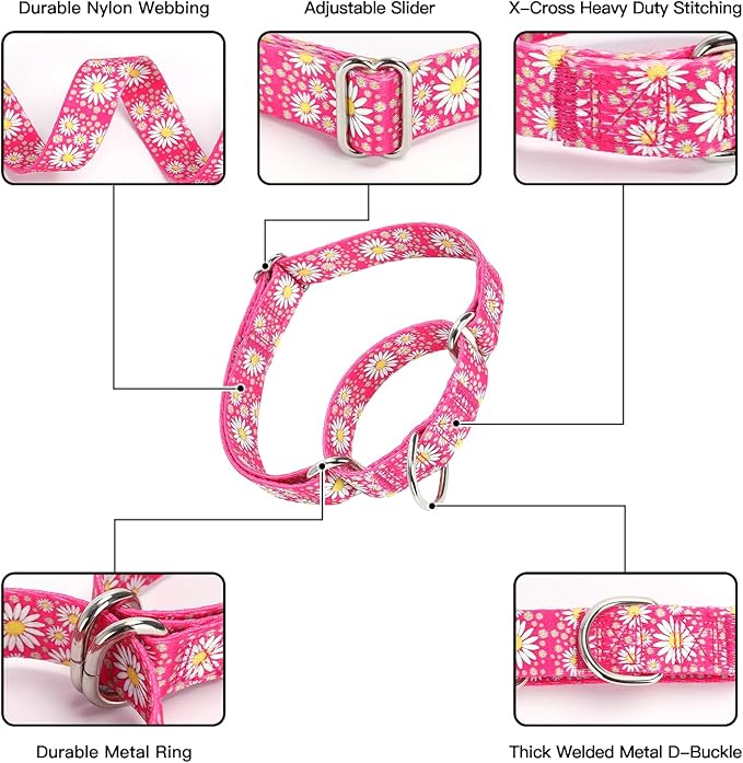 Pink Martingale Dog Collar and Leash Set for Female Dogs, Cute Daisy Pattern Girl Dog Collar, Adjustable Soft Durable Pet Collar with 5ft Matching Leash for Small Medium Large Dogs