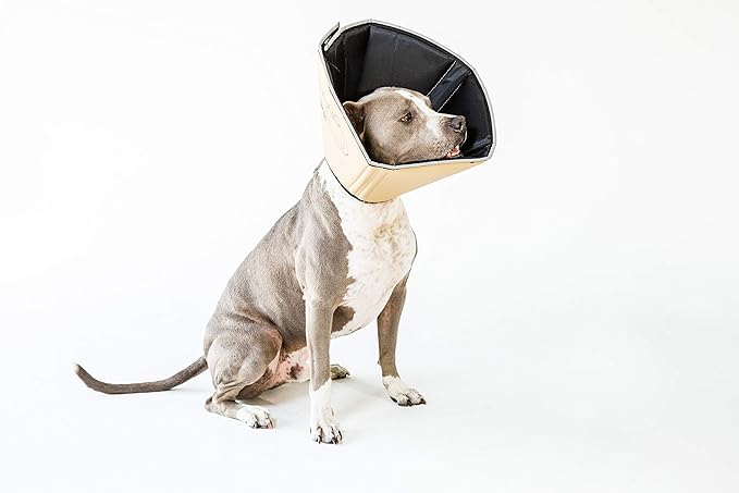All Four Paws Comfy Cone Pet Cone for Dogs, Cats, X-Large, Tan - Comfortable Soft Dog Cone Collar Alternative for After Surgery, Wound Care, Spay, Neuter - Dog and Cat Recovery Elizabethan-Collar