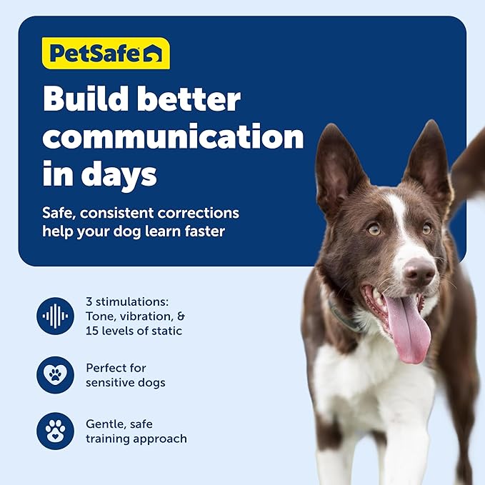 PetSafe 100 Yard Remote Training Collar – Smaller Version for Small or Medium Dogs – Choose from Tone, Vibration, or 15 Levels of Static Stimulation – Short Range Option for Training Off Leash Dogs