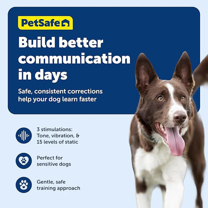 PetSafe 100 Yard Remote Training Collar – Smaller Version for Small or Medium Dogs – Choose from Tone, Vibration, or 15 Levels of Static Stimulation – Short Range Option for Training Off Leash Dogs