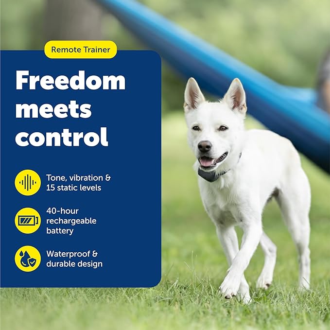 PetSafe 300 Yard Remote Training Collar – Smaller Version for Small or Medium Dogs – Choose from Tone, Vibration, or 15 Levels of Static Stimulation – Medium Range Option for Training Off Leash Dogs