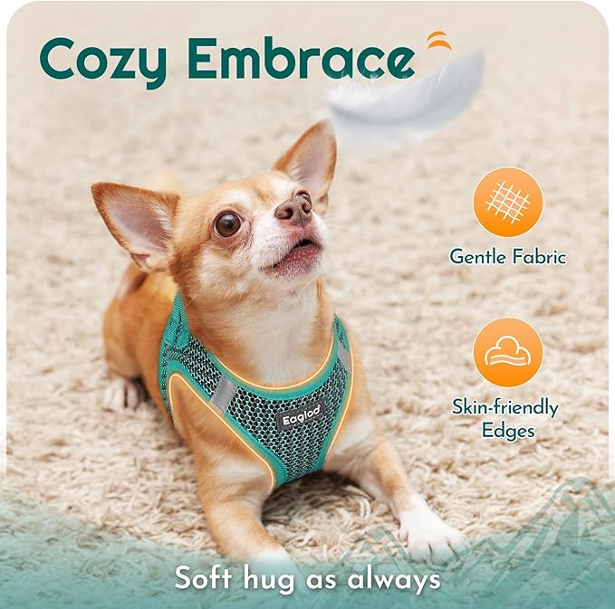 Eagloo Small Dog Harness and Leash Set, Step in Puppy Vest with Breathable Soft Mesh, Walking Reflective Pet Harness for Small Dogs, Forest Green, XXS