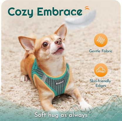 Eagloo Small Dog Harness and Leash Set, Step in Puppy Vest with Breathable Soft Mesh, Walking Reflective Pet Harness for Small Dogs, Forest Green, XXS
