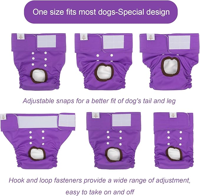CuteBone Dog Diapers Female Washable Small Medium Large 3 Pack Reusable Doggie Diapers Puppy Period Pants for Doggy Heat Cycle Peeing