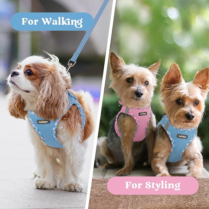 rabbitgoo Small Dog Harness, Step-in Soft Mesh Puppy Vest with Safety Buckle, Breathable Reflective Pet Harness for Small Sized Dogs, Blue & Plaid Trim XS