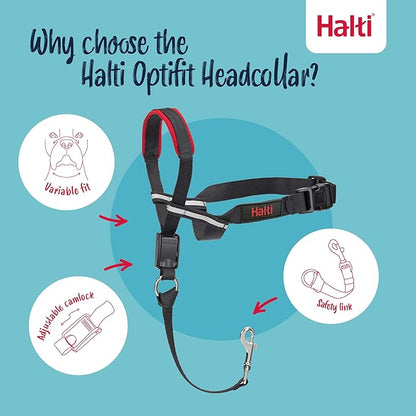 Halti Optifit Headcollar - Stop Your Dog Pulling on the Leash. Adjustable, Reflective and Lightweight, with Padded Nose Band. Dog Training Anti-Pull Collar for Medium Dogs (Size Medium)