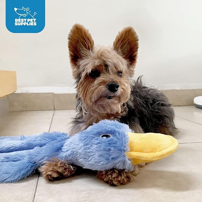 Best Pet Supplies Squeaky Dog Toys with Soft Durable Fabric for Small, Medium and Large Pets Interactive Toy for Indoor Play, Supports Active Biting and Play - Crinkle Duck (Light Green & Turquoise)