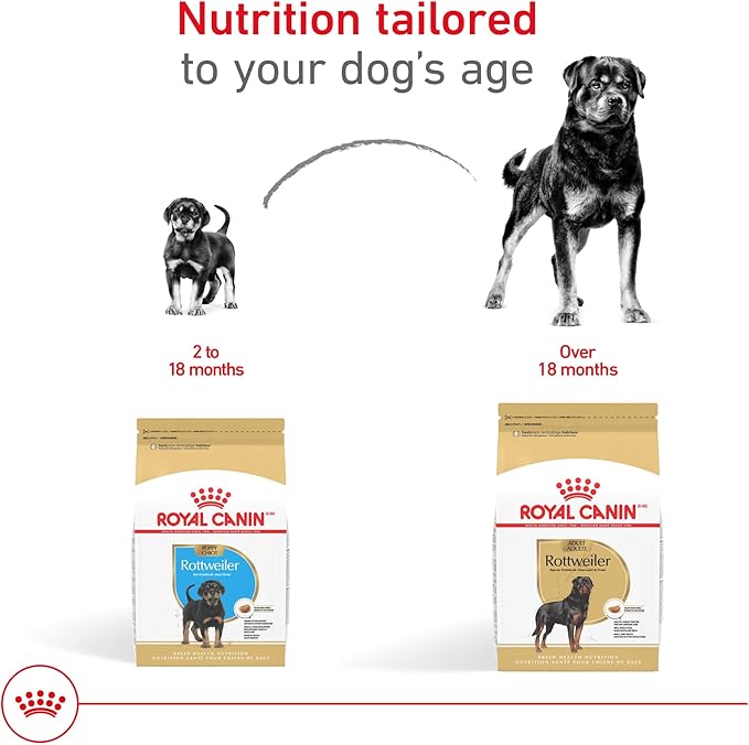 Royal Canin Breed Health Nutrition Rottweiler Adult Dry Dog Food, 30 lb Bag