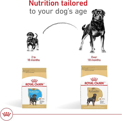 Royal Canin Breed Health Nutrition Rottweiler Adult Dry Dog Food, 30 lb Bag