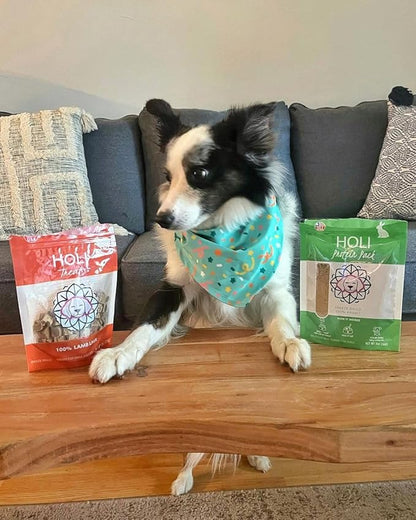 HOLI Rabbit Dog Food Topper – Freeze Dried Rabbit Dog Topper for Dry Food – Single Ingredient, Human-Grade Meal Topper for Picky Dogs – Grain Free & All Natural - 4oz