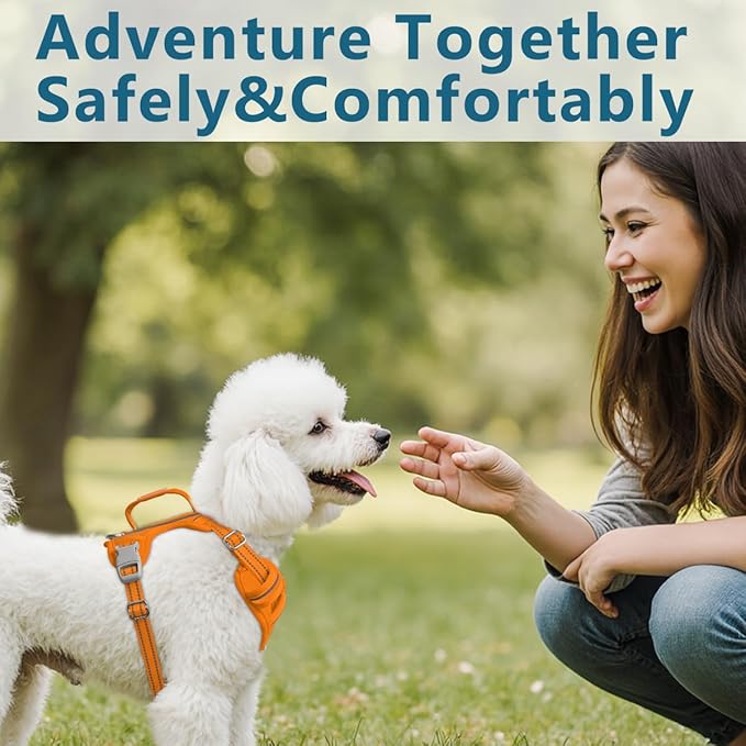 BARKBAY Dog Harness No Pull Oxford with ID Tag Pocket - Heavy Duty, Reflective, Easy Control for Large Dogs(Pumpkin Oxford,XS)