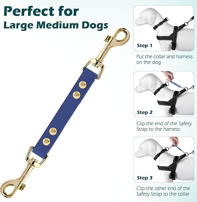 PetBonus Dog Collar Safety Clip, Waterproof Backup Safety Strap for Dog Harness to Prong Collar, Odor Proof Double Ended Clasp Leash Connector for Training Walking (Blue)