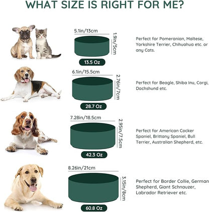 SPUNKYJUNKY 13.5OZ Ceramic Dog and Cat Bowl, Modern Cute Weighted Food Water Bowl for Replacement Green (2 Pack)