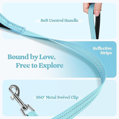 rabbitgoo Dog Harness Small Sized and Leash Set, Step in Soft Light Puppy Vest, Breathable Mesh Pet Harness, Reflective for Safe Easy Walking, Mint Blue XS