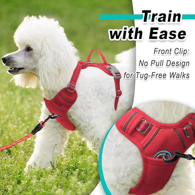 BARKBAY Dog Harness No Pull Mesh for Small Dogs - Adjustable, Reflective, Comfortable, No Choke, Heavy-Duty - Perfect for Outdoor Training, Walking, and Hiking - Strong & Durable - XS & Red Mesh