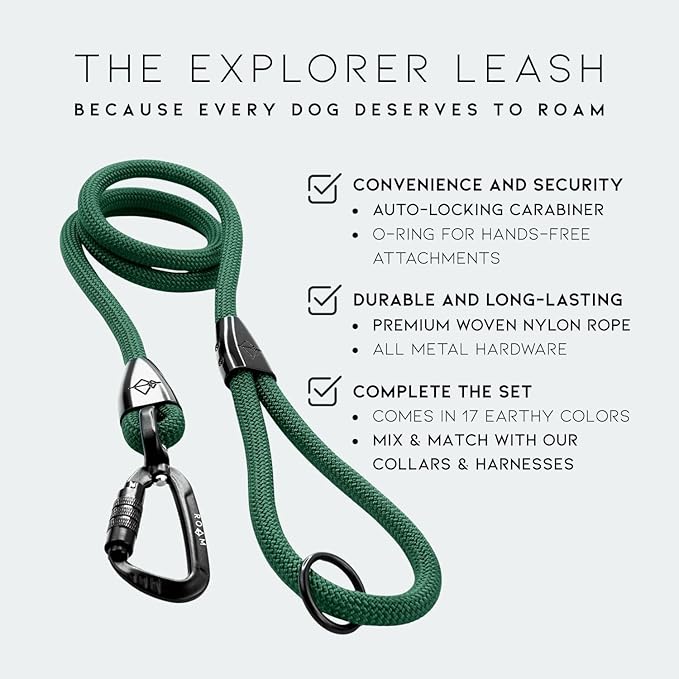 MADE TO ROAM Premium Explorer Leash - Climbing Rope Leash with Autolocking Aviation Aluminum Carabiner - Montana Moonrise, 6ft