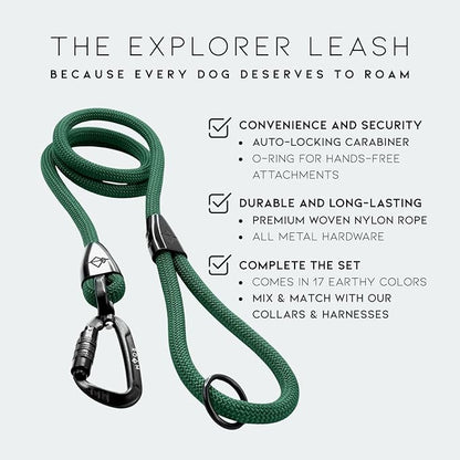 MADE TO ROAM Premium Explorer Leash - Climbing Rope Leash with Autolocking Aviation Aluminum Carabiner - Montana Moonrise, 6ft