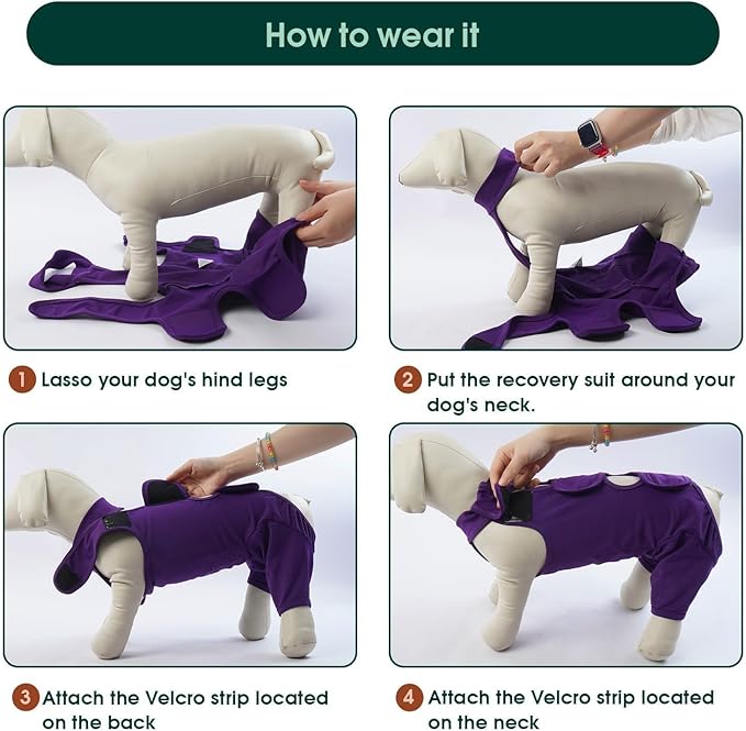 Kuoser Dog Recovery Suit for Rear Legs, Thigh Wound Protective Sleeve for Dogs, Dog Recovery Sleeve for Female Male Dogs, Dog Onesie After Surgery Pet Surgical Suit for Spay Neuter, Purple M