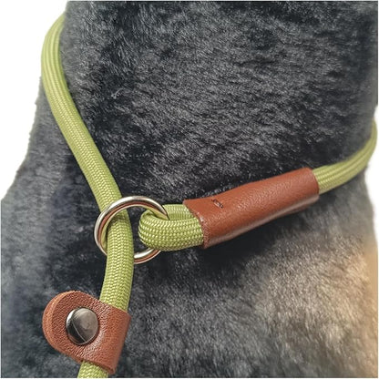 BTINESFUL 7FT Slip Lead Dog Leash, Lightweight Nylon Rope Leash, 1/4 inch Diam Dog Training Lead for Small Medium Large Dogs, Grass Green